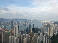 新规启动：解读香港虚拟资产交易平台的「过渡期安排」